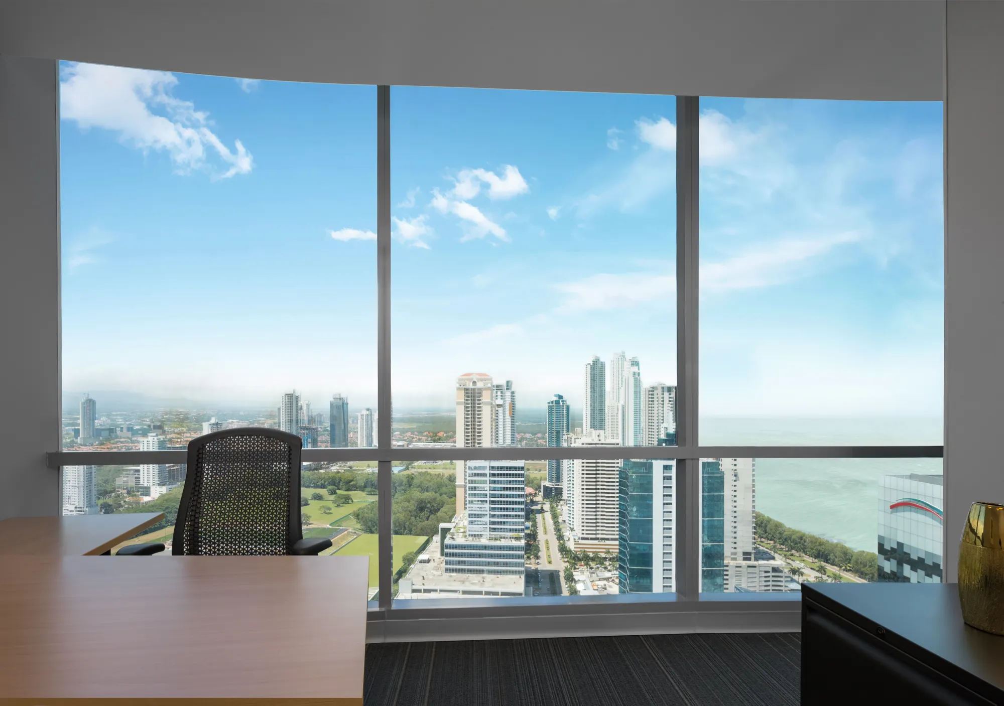 Terraza / vista